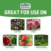 Expert Gardener All-Purpose Plant Food Fertilizers 12-5-7, 8 lb.
