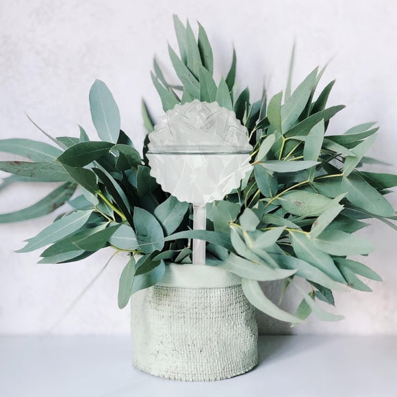 RENACLIPY Automatic Glass Watering Bulb for Plants with Uniform Water Release and Easy Installation