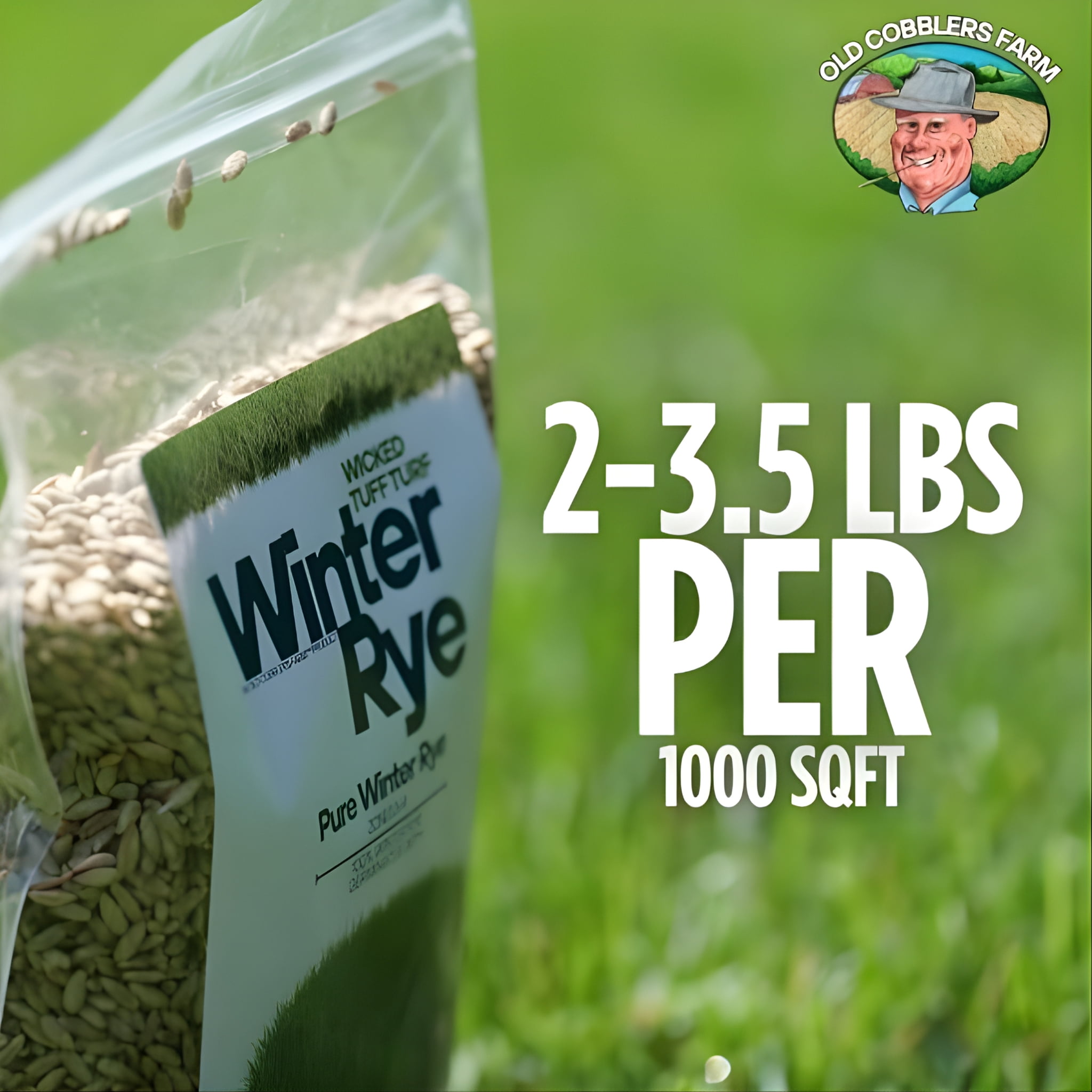 Old Cobblers Farm™ Wicked Tuff Turf Winter Rye Grass Seed Grass, 10lbs