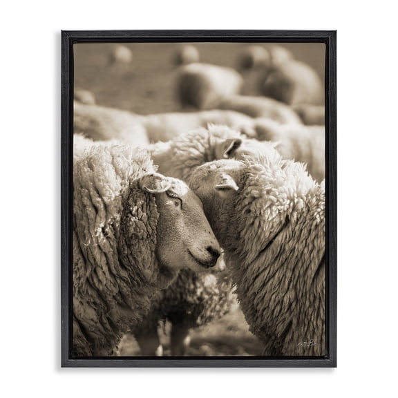 Stupell Industries Farmhouse Hugging Sheep in Flock Black Floating Frame Canvas Art, 17 x 21, by Martin Podt