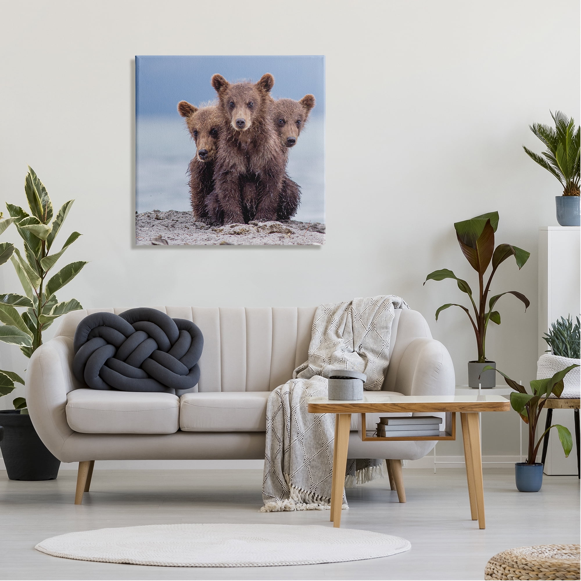 Stupell Industries Baby Bear Cubs Photography Animals & Insects Photography Gallery Wrapped Canvas Art Print Wall Art, 30 x 30