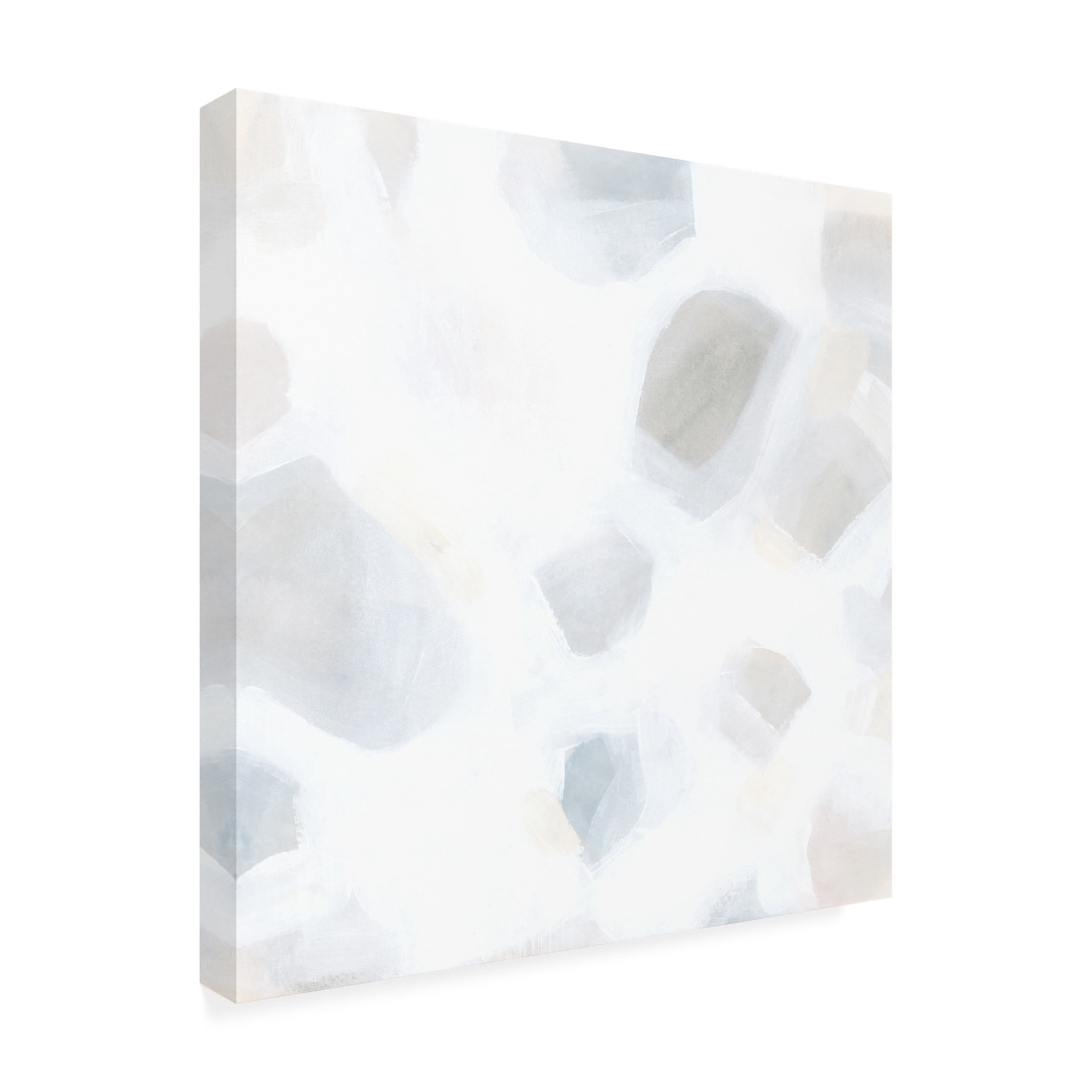 Trademark Fine Art June Erica Vess  Snow Pebble I Canvas Wall Art