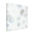 thumbnail image 4 of Trademark Fine Art June Erica Vess  Snow Pebble I Canvas Wall Art, 4 of 4