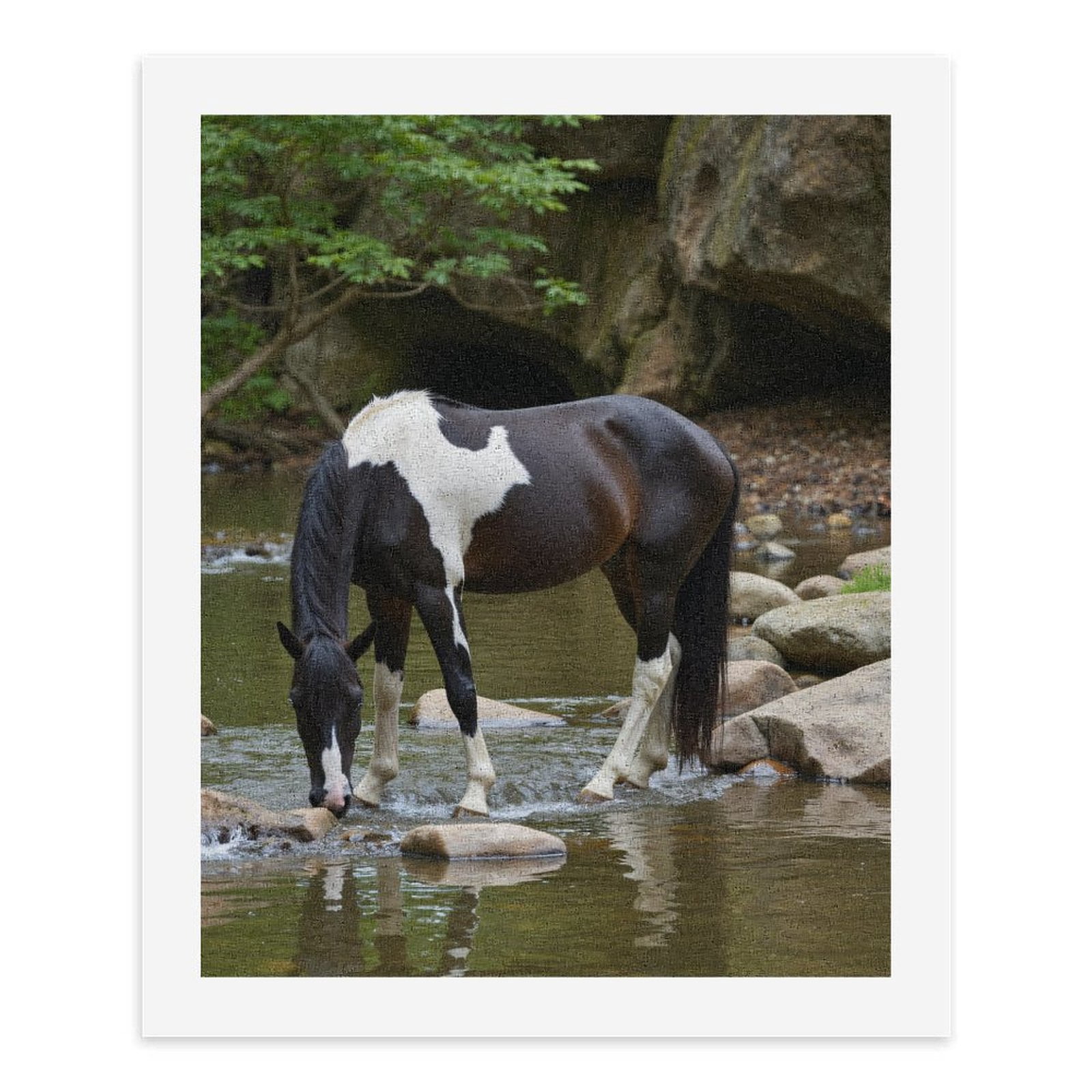 Paint By Numbers Kit for Adults Beginner - DIY Pinto Horse Creek Nature Serenity Canvas Painting Kits for Adults, Frameless Paint By Number for Adults for Home Wall Decor 16x20 Inch