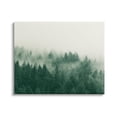 thumbnail image 2 of Stupell Misty Trees Woodland Forest Landscape Photography Gallery Wrapped Canvas Print Wall Art, 2 of 5