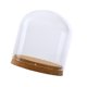 thumbnail image 4 of Pantal De Cristal Cubierta De Campana Jar Pntas Suculentas Terrarios Con Corcho De Para perfecl Recipiente para terrario con base, 4 of 8