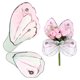 thumbnail image 1 of Papel de regalo para ramo de flores de mariposa de 20 piezas 20" x 22", Rosa Verde, 1 of 1