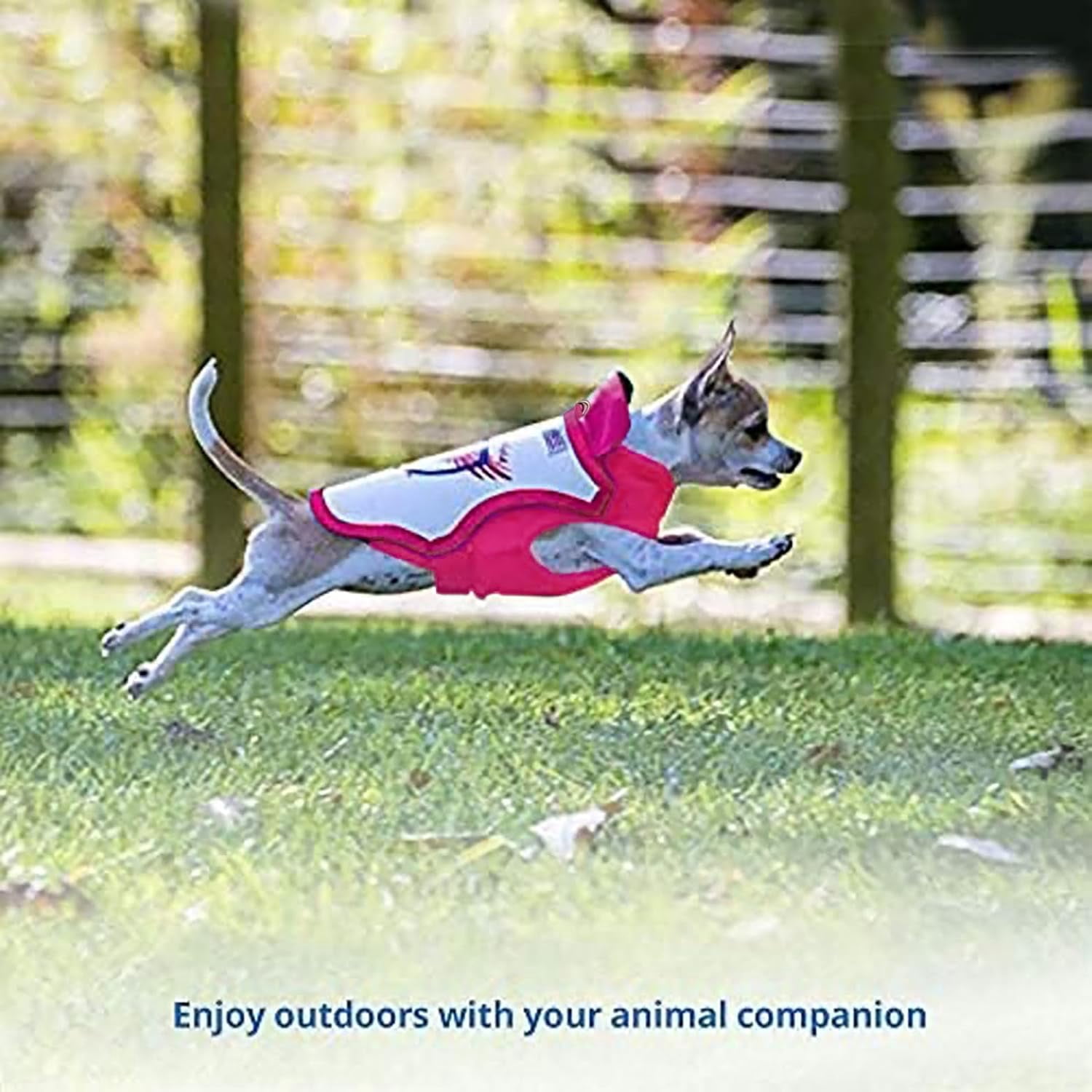 Raptor Shield Vest Small, Lightweight, X-Small (Pink) , 2-3 lbs, 7.5 to 10.5"