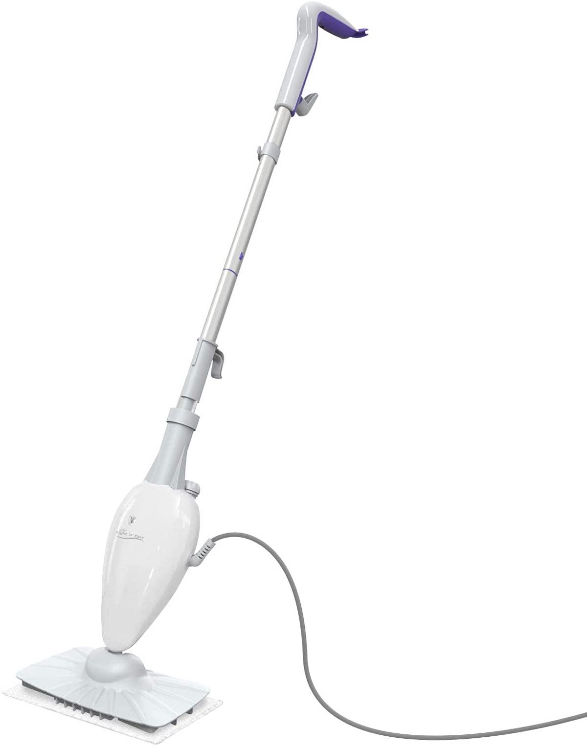 bush floor steamer