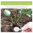 thumbnail image 2 of Plant Nutrition Powder, Succulent Green Flower Plant Pot Transplanting Root Growth Nutrition Powder, 2 of 5