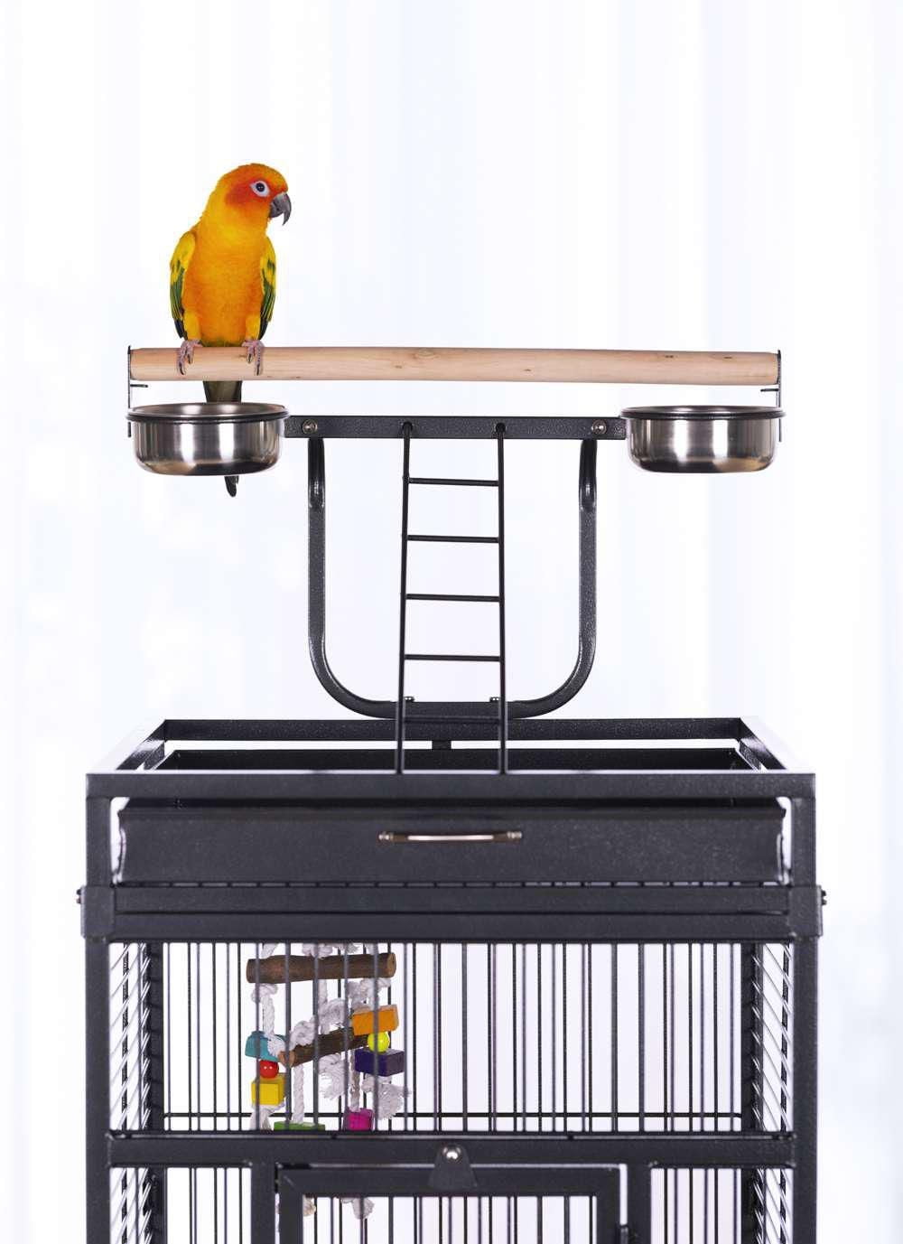 Prevue Select Cage à oiseaux en fer forgé, noire