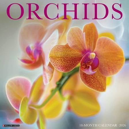 Orchids, (Paperback)