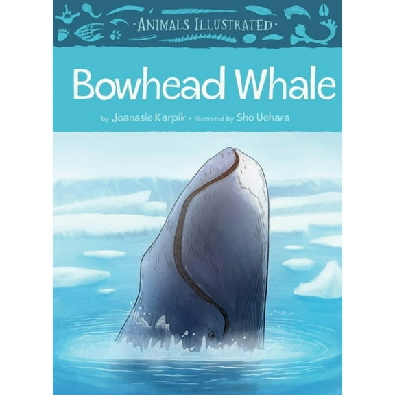 Animals Illustrated Animals Illustrated: Bowhead Whale, Book 5, (Hardcover)