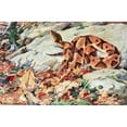 thumbnail image 3 of Robert Bruce Horsfall 18x13 Black Modern Framed Museum Art Print Titled - Copperhead and Coral Snake (1929-1932), 3 of 5