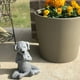 thumbnail image 4 of Estatua de Buda de perro meditando: colección superior Tranquilidad y tranquilidad para su jardín de hadas., 4 of 5