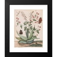 thumbnail image 2 of Maria Monninckx 11x14 Black Modern Framed Museum Art Print Titled - Butterflies, a Snake and a Turtle Around a Flowering Agave (1620 - 1720), 2 of 5