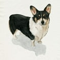 thumbnail image 3 of Popp, Grace 15x15 Black Modern Framed Museum Art Print Titled - Pup for the Queen I, 3 of 5