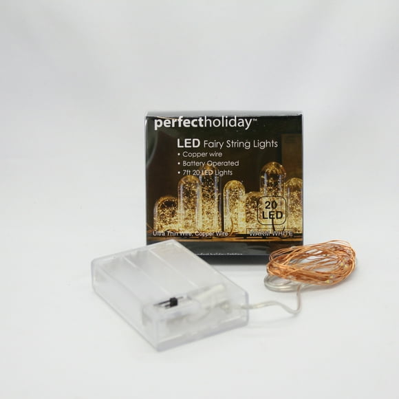 20 LED Wire Copper String Light - Warm White
