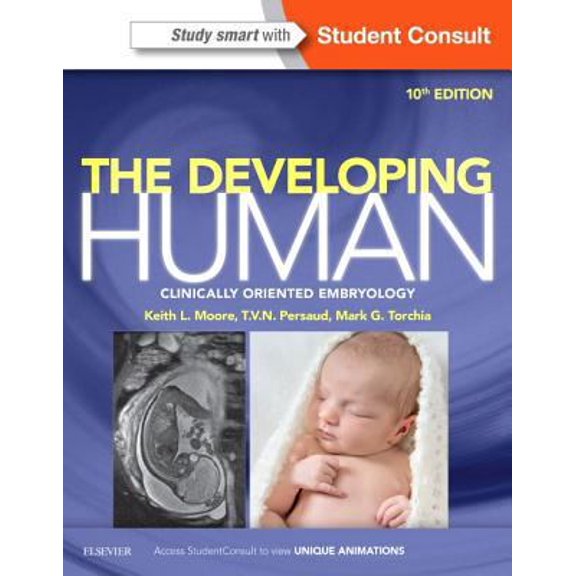 Pre-Owned The Developing Human: Clinically Oriented Embryology (Paperback) 0323313388 9780323313384