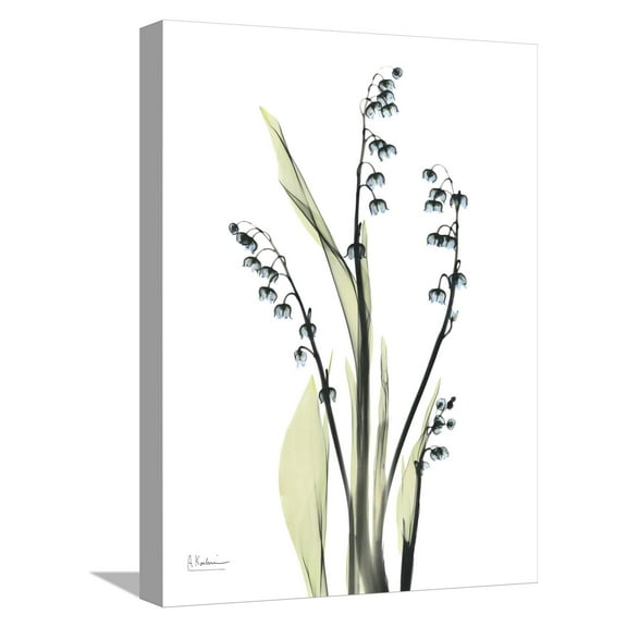 Art.com Lily of the Valley Stretched Canvas Print Wall Art by Albert Koetsier, 12" x 16"