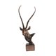 thumbnail image 4 of Adorno de cabeza de antílope, escultura moderna y creativa con base, pieza de colección versátil. bronce, 4 of 9