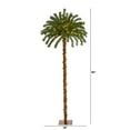 thumbnail image 2 of Nearly Natural 5' Christmas Palm Artificial Tree with 150 Warm White LED Lights, 2 of 8