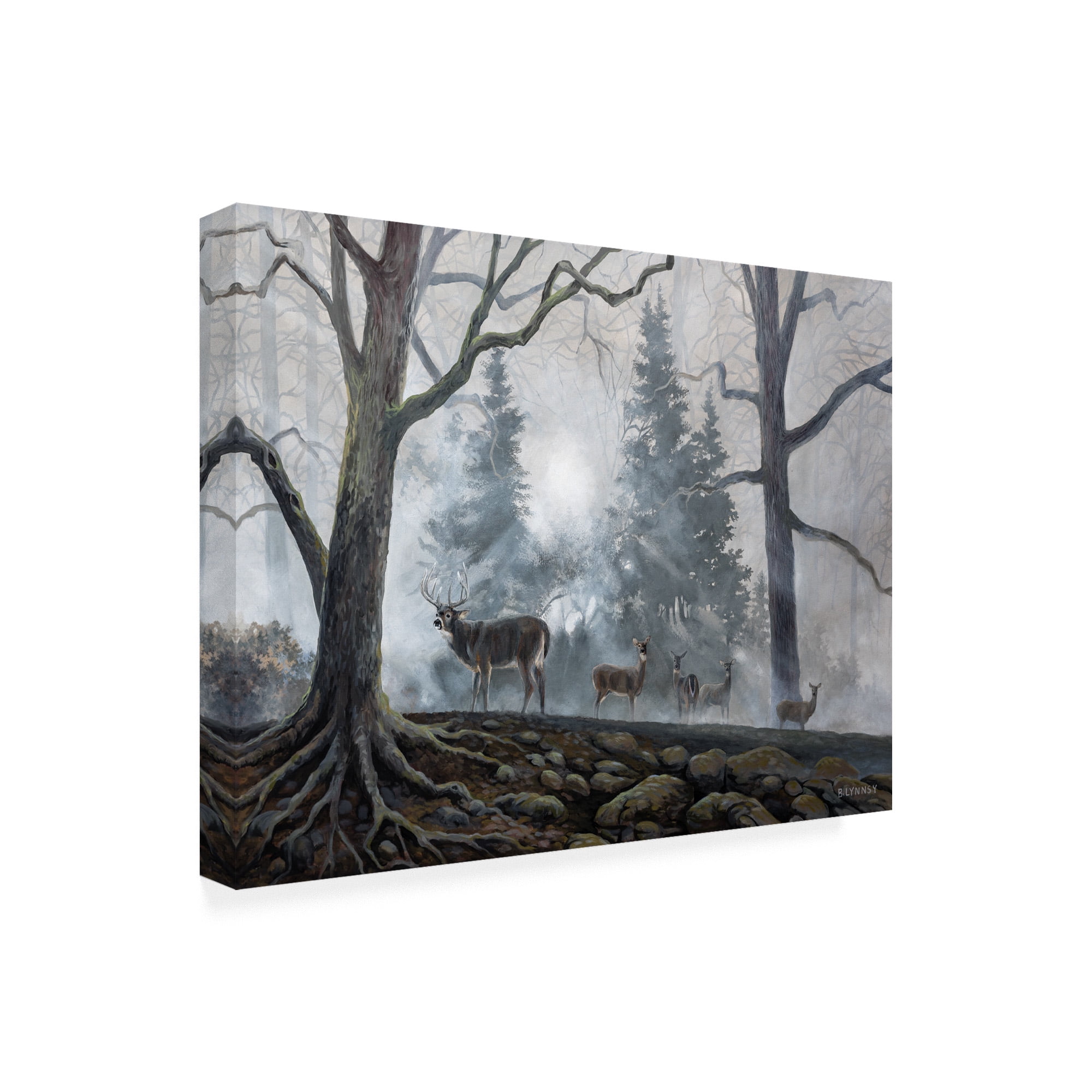 Trademark Fine Art 'Deer Path I' Canvas Art by B. Lynnsy