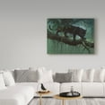 thumbnail image 3 of Trademark Fine Art 'Black Jaguar Stalking' Canvas Art by Harro Maass, 3 of 3