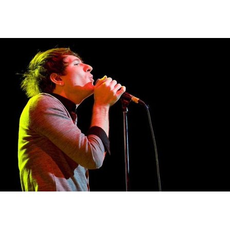 Owl City 24X36 Poster