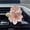 small clips, variant on Car Aromatherapy Flower Expanding Stone Clip, Small Fresh Decoration For Vehicle Air Vent, Scent Diffusing Ornament For Car Interior With Easy Installation On Air Conditioning