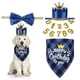 thumbnail image 5 of Accesorios para fiestas de cumpleaños de mascotas Sombrero de perro Pajarita Bufanda Triángulo Tirar Bandera Globo Set Decoración para fiestas Atrezzo, 5 of 5