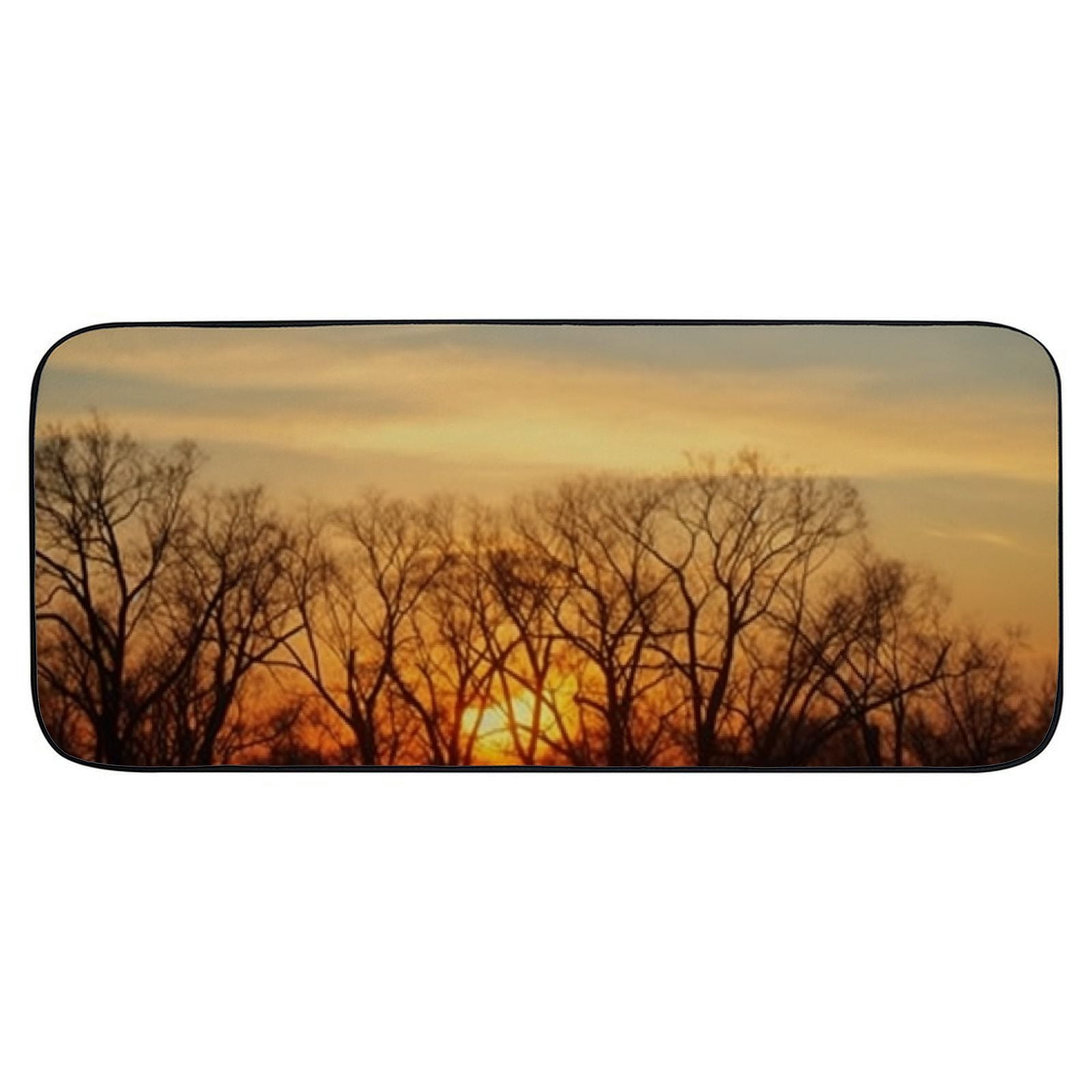 PHYHOO Decorative Door Mat, Door Mat with Non-Slip Rubber Backing, Easy Cleaning, Traps Dirt, Rug for Entry, Patio, Garage - Dawn Tree Nature Sunset Sun 19.68*47.24 in