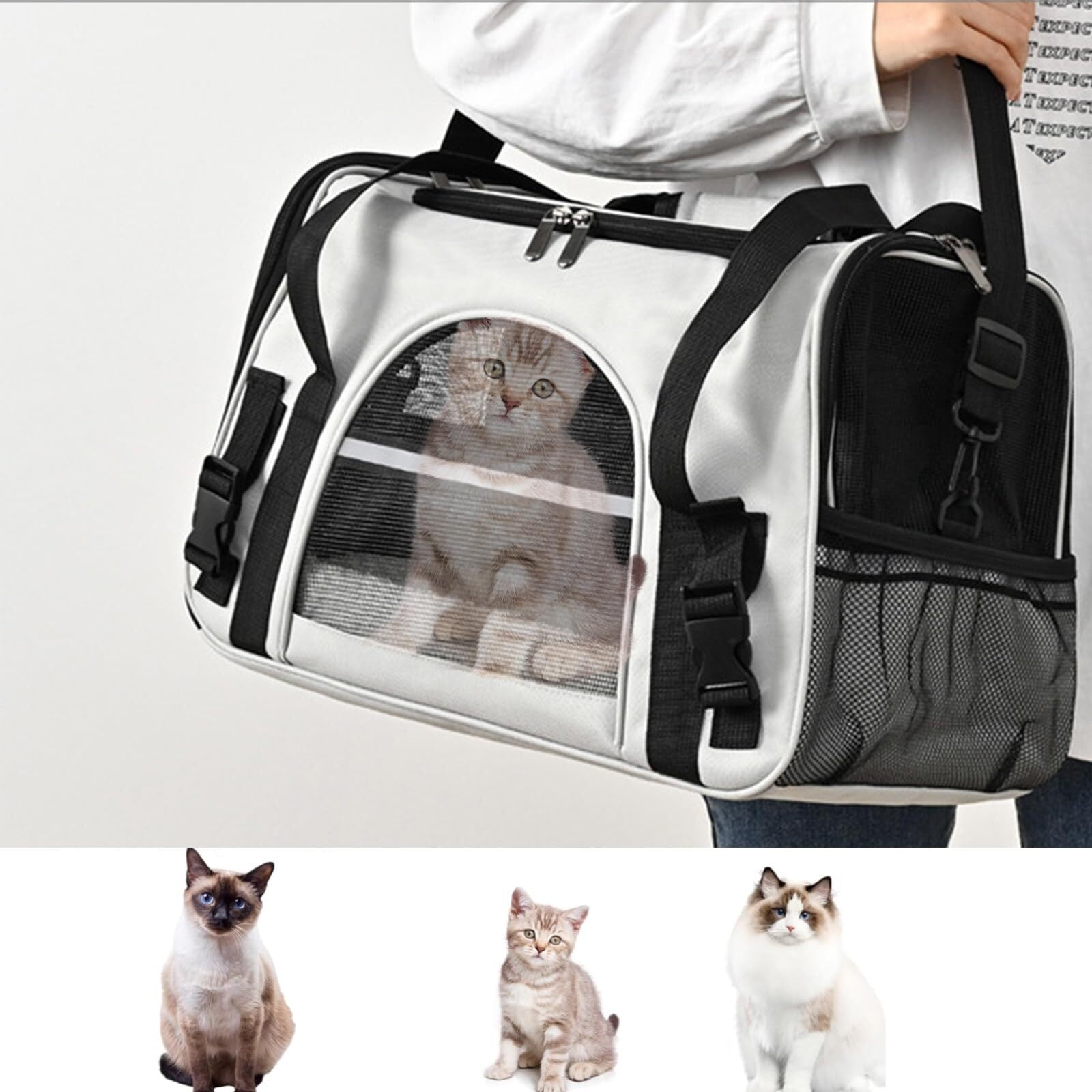 LAIRIES Katzen Rucksack Träger - Erweiterbar Mit Blasen-Kuppel - Bis 9kg Haustiere