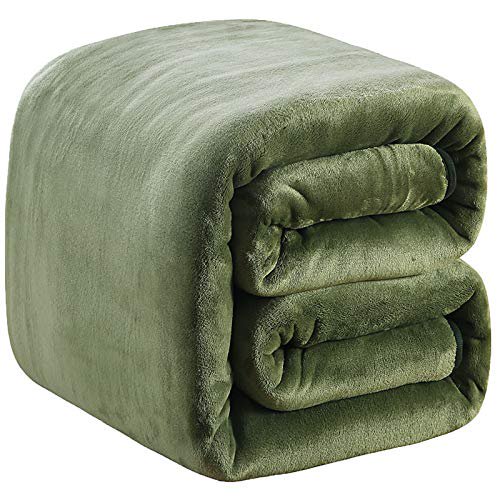 Fleece Blanket Twin Size 350GSM Lightweight Throw for The Bed Extra Soft Brush Fabric Super Warm Sofa Blanket 66" x 90"(Green Twin)