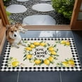 thumbnail image 4 of Summer Lemon 2x3 Door Mat Rug, Farmhouse Black Check Plaid Vintage Non-Skid Rubber Backing Large Rectangle Rugs - Living Room Bedroom Home Office, Indoor Floor Mat Carpets Washable Rug, 4 of 9