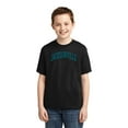 thumbnail image 2 of Wild Bobby Jacksonville JAX American Football Cities | Classic Varsity College Style Fantasy Fan, Trendy Team Streetwear Sports Unisex Boys Girls Graphic Youth T-Shirt, 2 of 6