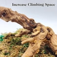 thumbnail image 4 of 2PCS Reptile Wood Branches, Snake Climbing Branch Natural Bearded Dragon Log Tank Accessories Tree Trunk for Chameleon Gecko Snake Frog Spider, 4 of 8