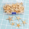 thumbnail image 5 of Bobasndm Starfish Multi-purpose 1 Box Natural Ocean Beach Seashells Solid High Quality for Party, 5 of 7