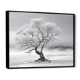 thumbnail image 2 of Designart "Grey White Tree Subtle Charm III" Floral Floater Framed Wall Art Living Room, 2 of 7