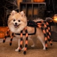 thumbnail image 4 of Halloween with Soft Fuzzy Legs,Small Dog Halloween for Puppy,Trick Or Treat Party Photography Prop,1 Pack, 4 of 7