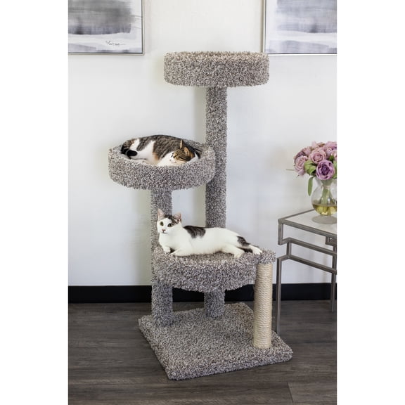 New Cat Condos Multi Level Tree Condo