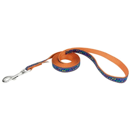 - Country Brook Design® 3/4 Inch Rainbow Paws and Bones Ribbon on Orange Dog Leash Limited Edition - 6 Foot