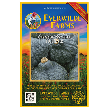 Everwilde Farms - 40 Chicago Warted Hubbard Winter Squash Seeds - Gold Vault Jumbo Bulk Seed (Best Way To Get Rid Of Seed Warts)
