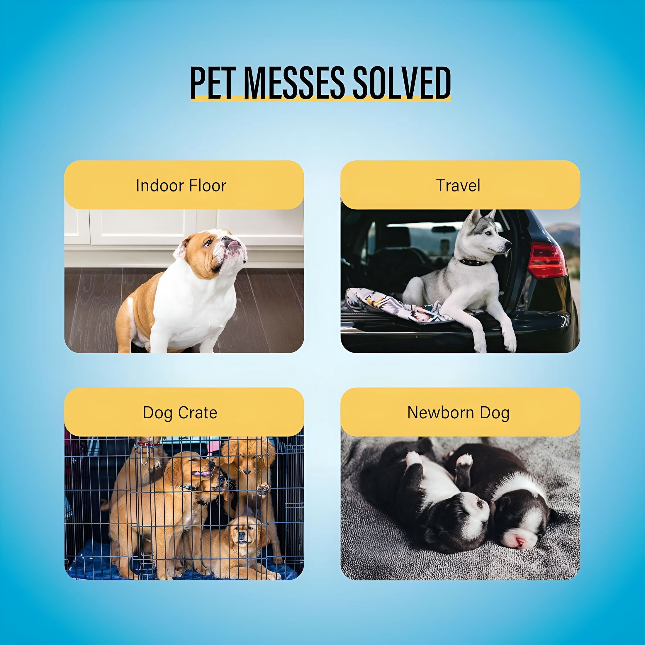 RLESO Training Pads 30 Count | Dog Pee Pads | Super Absorbent Puppy Pads