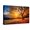 Canvas, variant on Art.com Majestic Alone Beech Tree on a Hill Slope with Sunny Beams at Mountain Valley. Dramatic Colorful Mo Stretched Canvas Print Wall Art by Leonid Tit, 18" x 12"