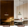 thumbnail image 6 of Oyisen Plug in Pendant Light, Silver Pendant Light Fixtures Two Ways Switch, Adjustable 13ft Light Cord Hanging Pendant Light for Kitchen Bedroom Restaurant 2 Pack, 6 of 7