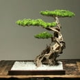 thumbnail image 3 of 8Pcs Simulation Pine Branch Leaves Simulation Thuja Branch Fake Pine Needle Branch Bonsai Accessories, 3 of 14