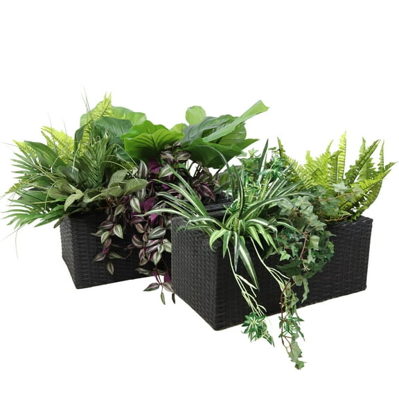 Sunnydaze 21.5" x 11.5" x 9.25" Rectangle Black Polyrattan 2-Section Indoor Planter 2-Count