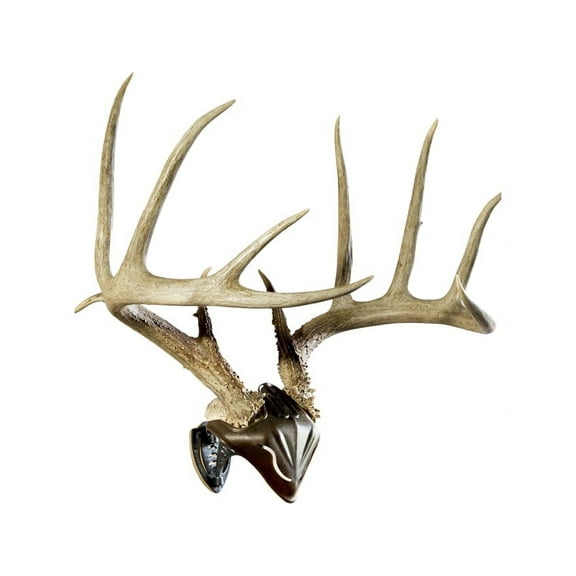 Skull Hooker Bone Bracket European Trophy Mount with Skull Cap Included – Perfect Kit for Hanging and Mounting Capped Skulls for Display, Graphite Black, One Size (SKH-BB-SC-ASSY)