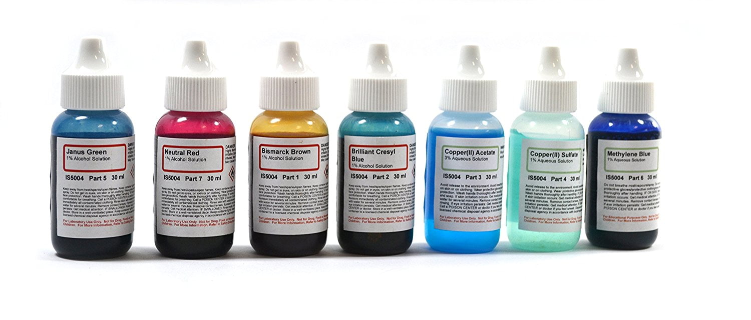 Innovating Science Microscope Stains Vital Stain Kit 7 Bottle Set, 6